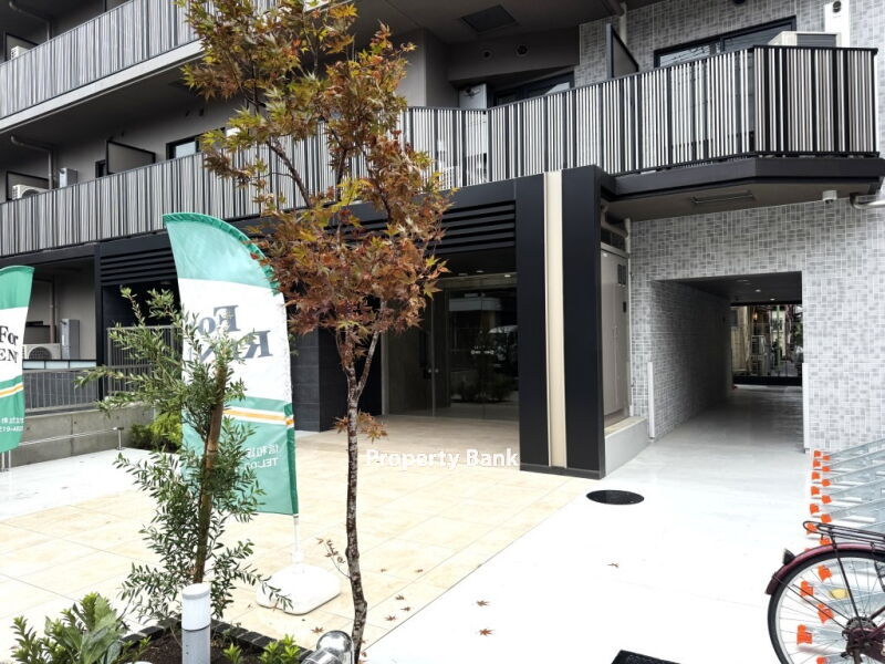 スプランディッド大島