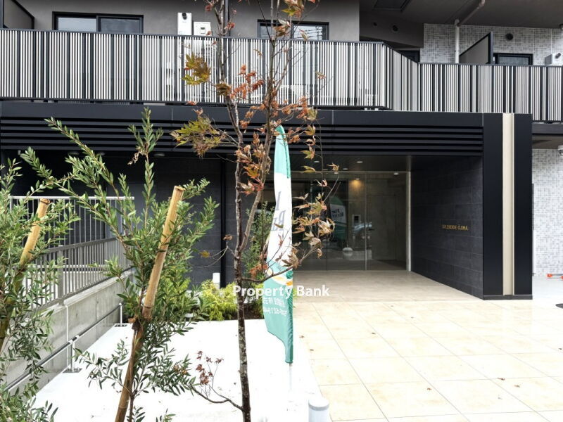 スプランディッド大島