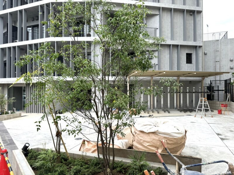 グランデュオ下北沢12