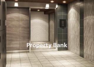 ベルシードアルファ綾瀬