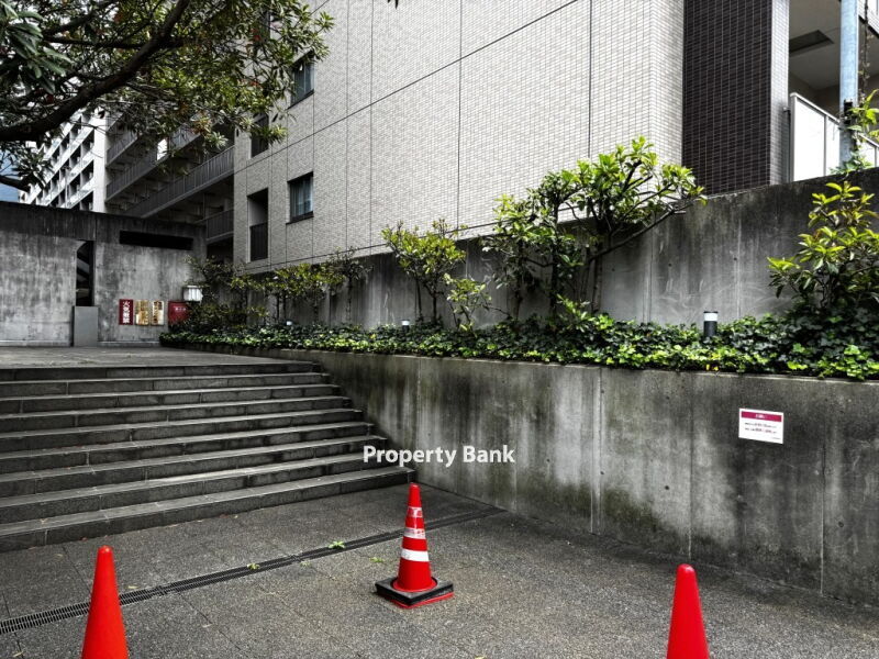 プライマル勝どき