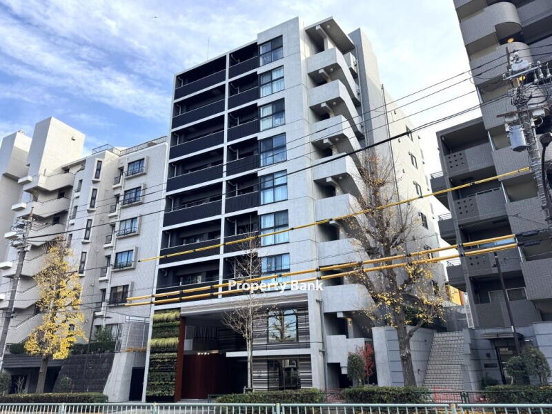 ズーム都立大学