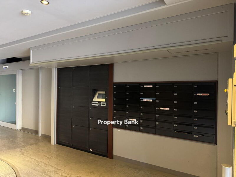 ズーム都立大学