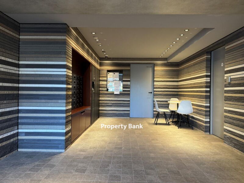 ズーム都立大学