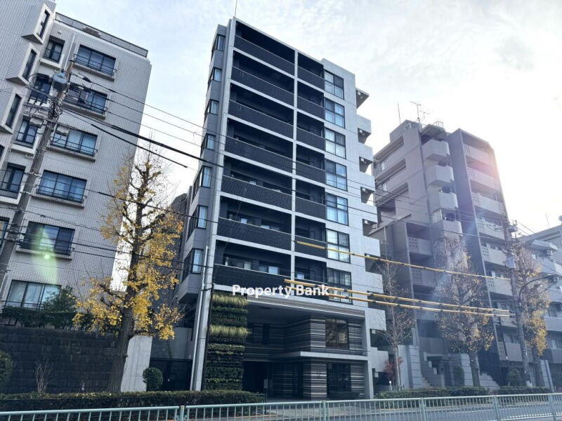 ズーム都立大学