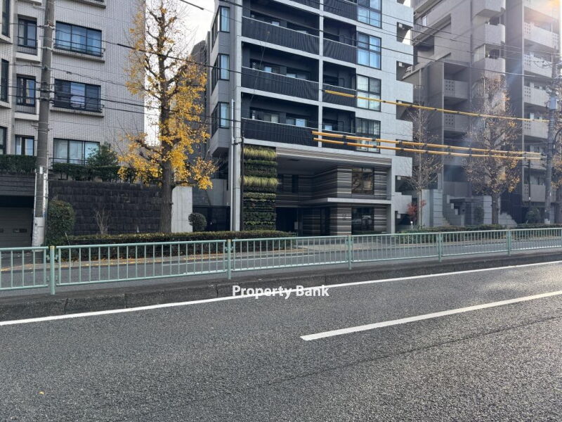 ズーム都立大学