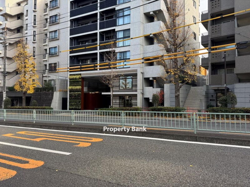 ズーム都立大学