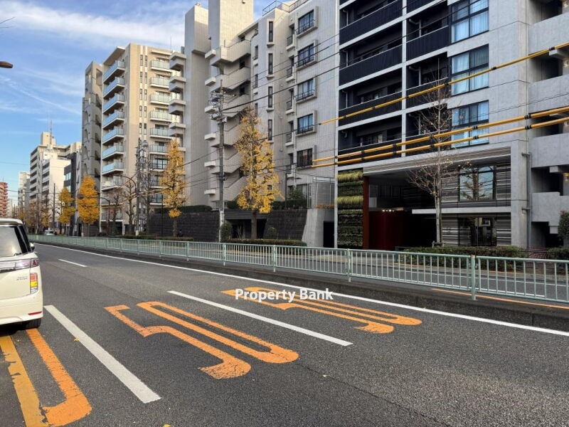 ズーム都立大学