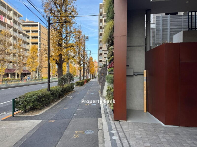 ズーム都立大学