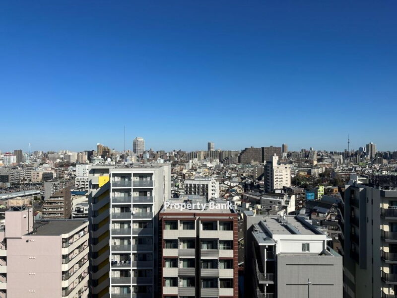 スプランディッド大山