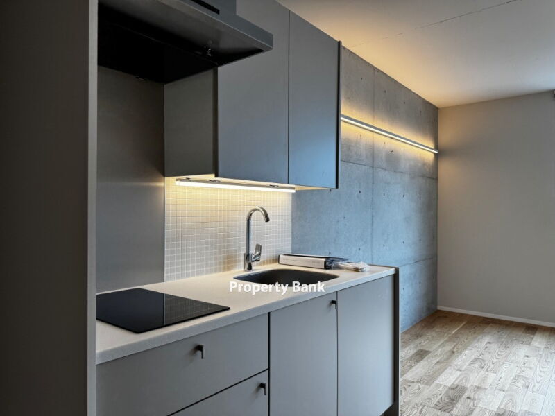 エスセナーリオ青葉台デュオⅡ