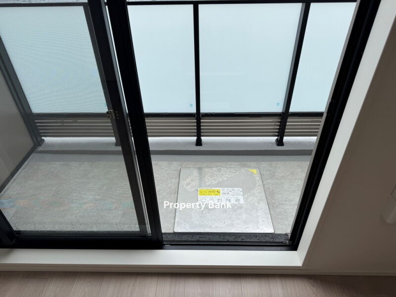 スプランディッド大島